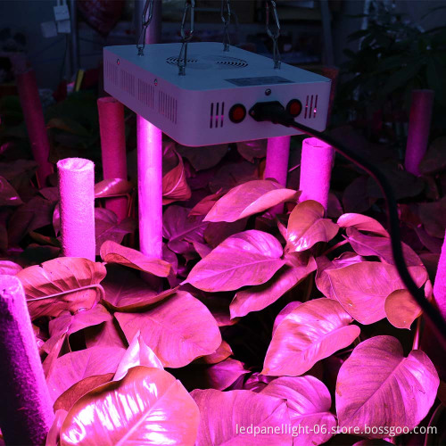 Led grow light with Veg/Bloom spectrum for hydroponic indoor greenhouse/garden plant growing